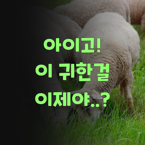 아이고, 이 귀한 걸 이제야! 퍼스널멘토 국어 과외 솔직 후기..