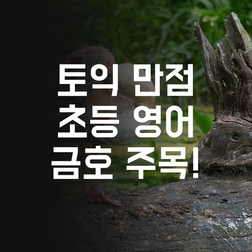 토익 만점 멘토의 초등 영어 과외! 염창금호 학생들 주목!