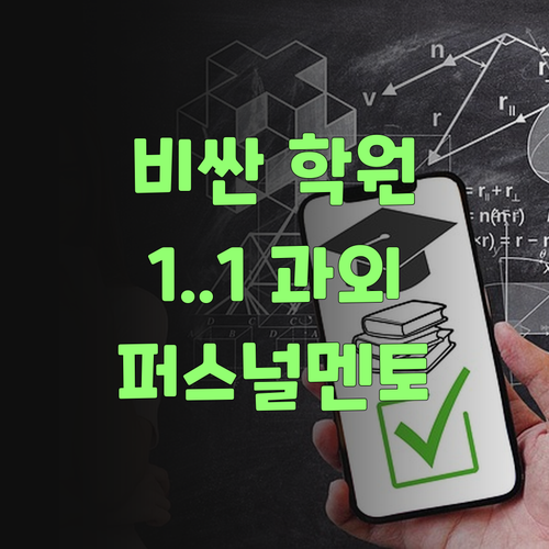비싼 학원 말고, 싼디 1:1 과외? 퍼스널멘토 믿어봐..
