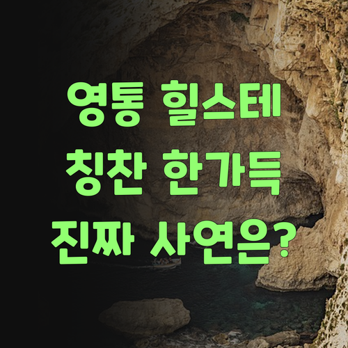 성남 영통 힐스테이트 할매, 퍼스널멘토 칭찬 한바가지 쏟아낸 사연..