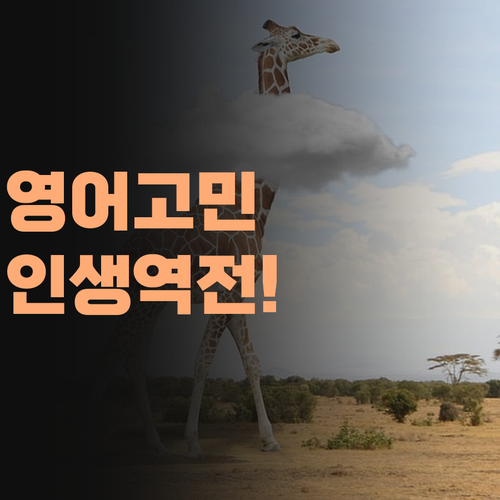 영어 때문에 힘든 우리 애, 맘쌤이 멘토로 인생 역전 시켜줄게!