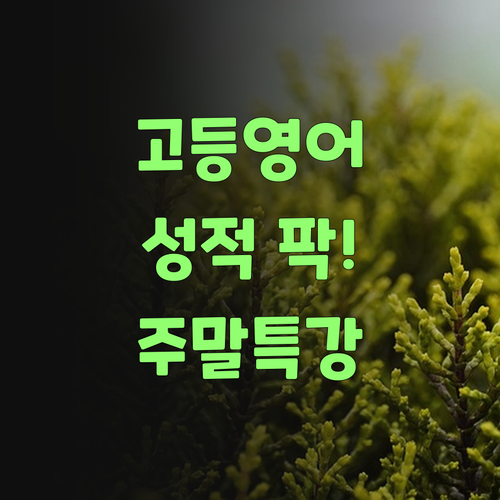 워매, 고등 영어 성적 팍팍! 퍼스널멘토 주말 특강 안 들으면 손해랑께..