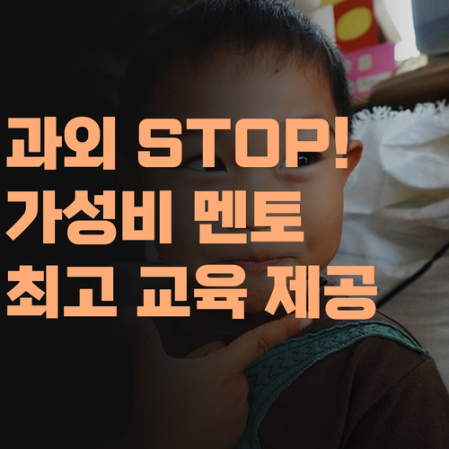 비싼 과외 이제 그만! 퍼스널멘토, 합리적인 가격으로 최고의 교육을!..