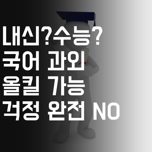 내신? 수능? 걱정 No! 국어 과외로 올킬 가즈아!