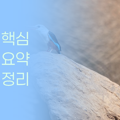 솔직히 과학, 쌤빨이잖아? 퍼스널멘토 쌤들 퀄리티 미쳤음…! (진지)