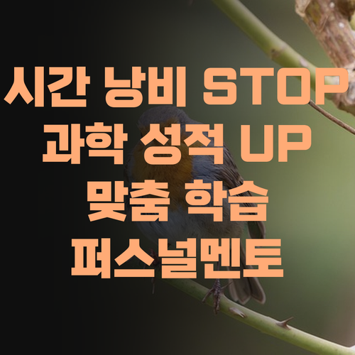시간 낭비는 이제 그만! 퍼스널멘토 맞춤 학습으로 과학 성적 올려보자!
