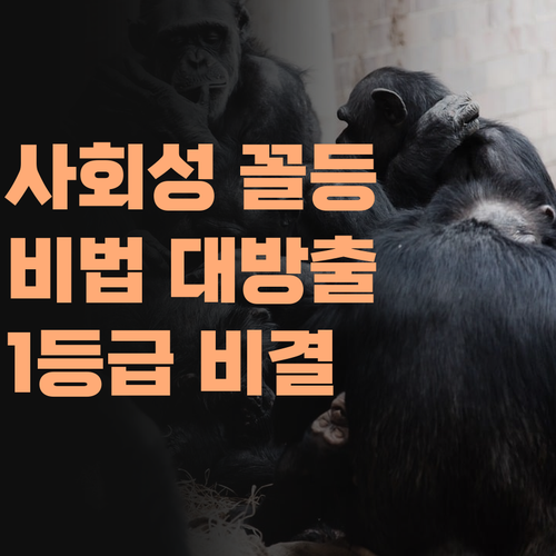 니 자녀 사회 성적, 5등급에서 1등급으로! 퍼스널멘토 비법 대방출!