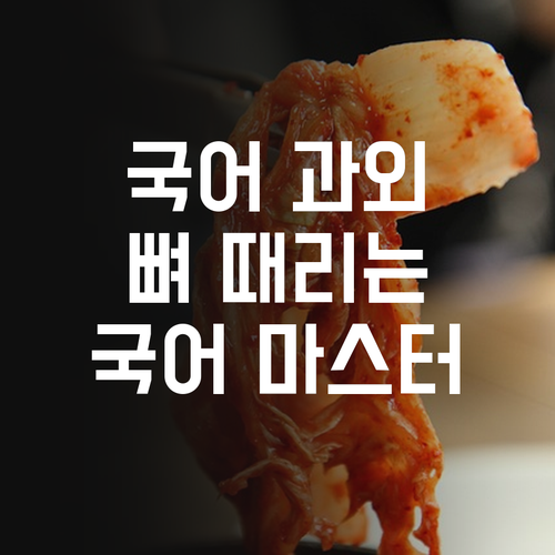 우성캐릭터199 온라인 국어 과외: 뼈 때리는 멘토링으로 국어 마스터!