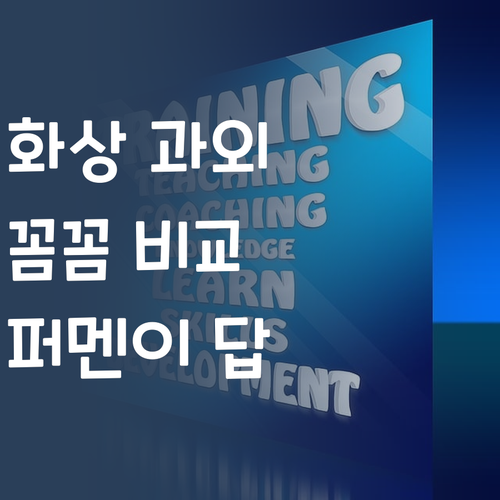 화상 과외, 이젠 꼼꼼 비교 필수! 퍼스널멘토가 답인 이유?
