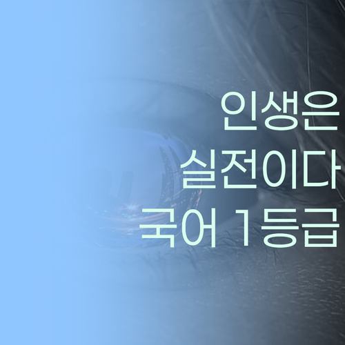 인생은 실전이야! 오답노트로 국어 1등급 찍어보자!