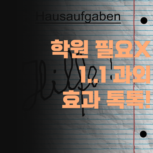 유명 학원 안 부럽다! 퍼스널멘토 1:1 화상 과외 효과 톡톡히 봤다!