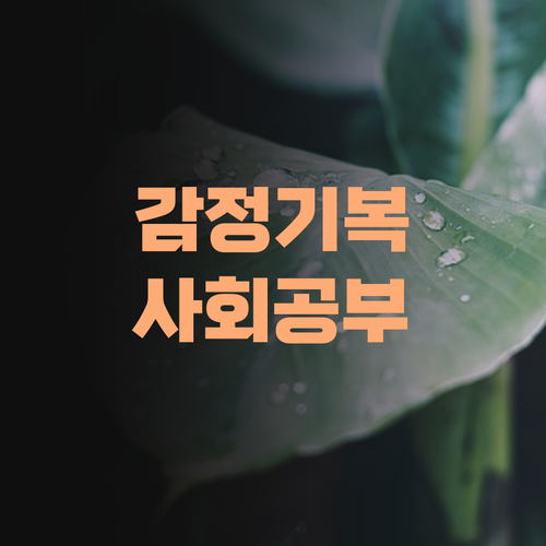 감정 기복 심한 아이, 사회 공부 쉽게 하는 법! 여깄다!..