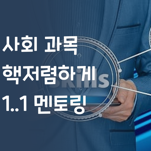 사회 과목, 비싼 학원 말고 1:1 멘토링으로 핵저렴하게 끝내자! ✨