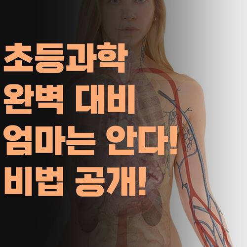 똑똑한 엄마는 안다! 퍼스널멘토로 초등 과학 완벽 대비하는 비법!