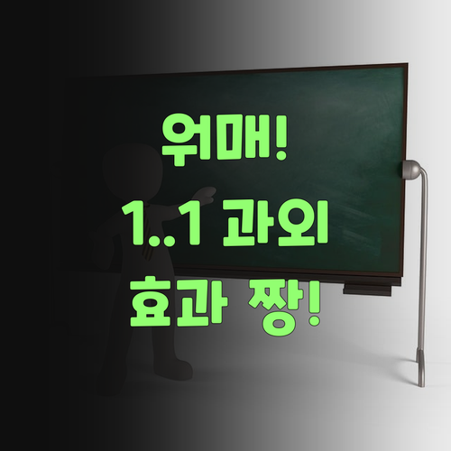 워매, 퍼스널멘토 없었으면 어쩔 뻔! 1:1 맞춤 과외가 이리 좋을 줄이야..