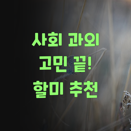 사회 과외 고민 끝! 퍼스널멘토 1:1 온라인 수업, 이 할미가 강력 추천한당께..