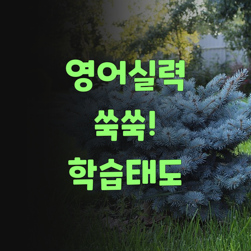 아따, 퍼스널멘토 хто 영어 실력 쑥! 긍정적인 학습 태도까지..
