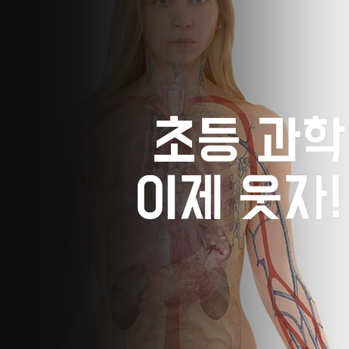 화곡대림아파트 초등생, 과학 때문에 울상? 이제 웃게 해줄게!