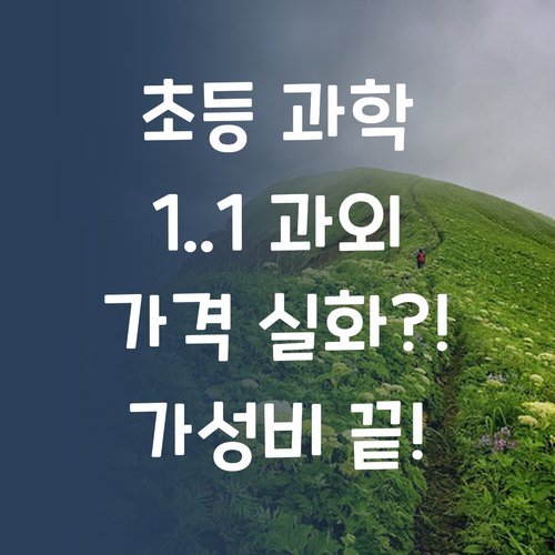 가성비 끝판왕! 초등 과학 1:1 과외, 이 가격 실화?!