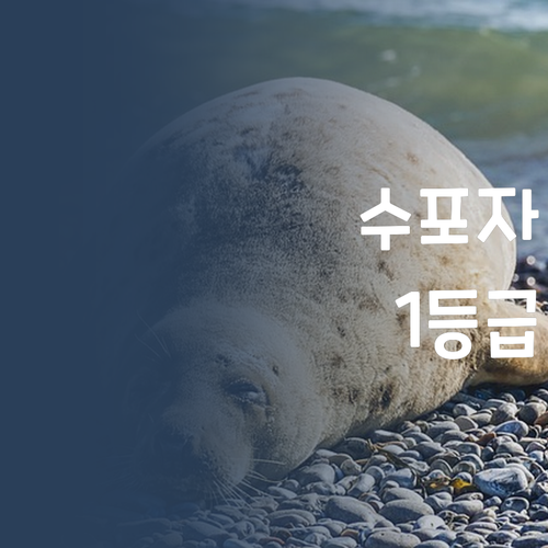 수학 포기? 댓츠 노노! 퍼스널멘토와 1등급 찍어보자.. 🥰
