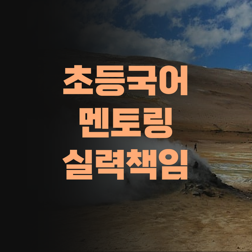 초등 국어, 비싼 학원 말고! 퍼스널 멘토로 끝내자! 실력 책임진다!