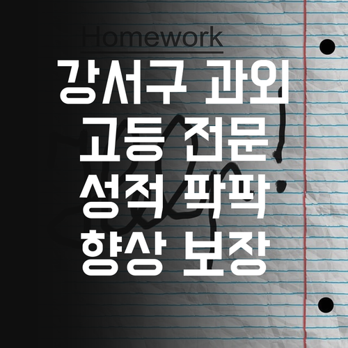 강서구 고등 과외, 묻고 더블로 가! 성적 향상 보장! 😎