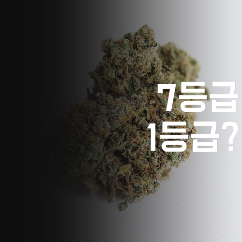 강서구 염창동 국어 과외 찾아요 7등급도 1등급 쌉가능?