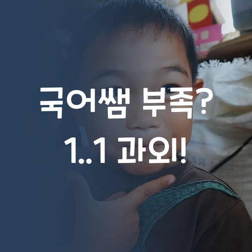 국어 쌤 부족? 😭 이젠 1:1 온라인 과외로 극복하자!