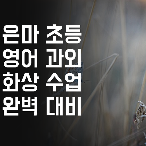 우리 아이 영어, 은마 초등 맞춤 화상 과외로 끝!