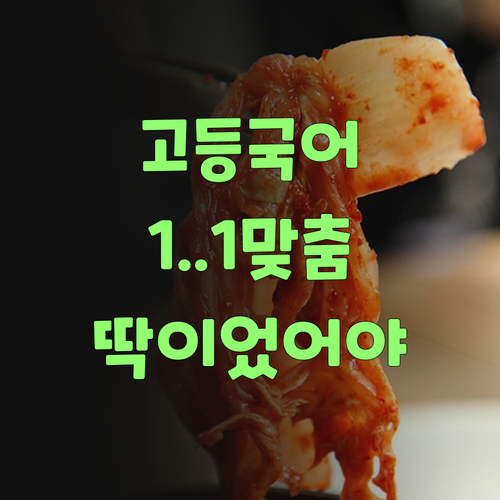고등 국어, 퍼스널멘토 1:1 맞춤 학습이 딱이었어야..