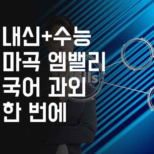 내신 수능 한번에 잡는 마법 마곡엠밸리1단지 국어 과외