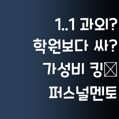 1:1 과외 맞아? 학원보다 싸다니! 😲 가성비 킹👑 퍼스널멘토