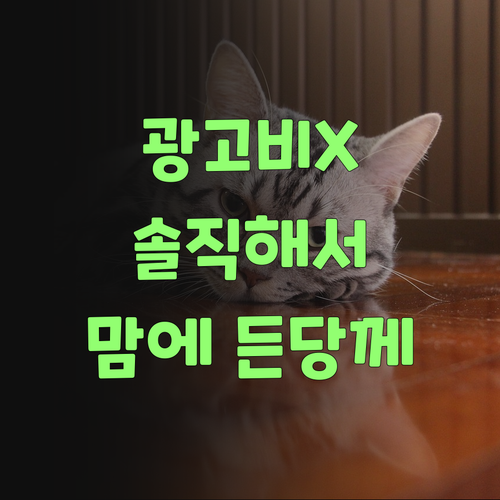 광고비 뺀 가격! 퍼스널멘토, 솔직해서 더 맘에 든당께..