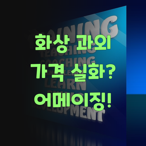 어메, 퍼스널멘토 1:1 화상 과외 가격이 글케 착하다요?..