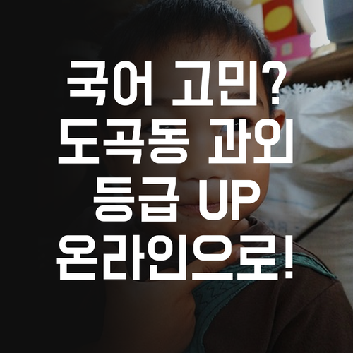 국어 성적 고민 끝 도곡동 온라인 과외로 등급 UP