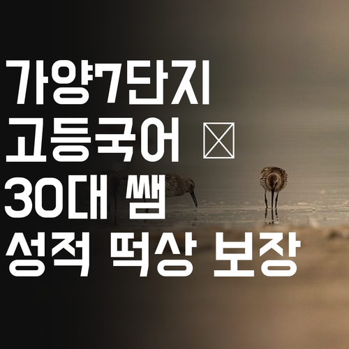 가양7단지 고등 국어, 30대 쌤의 맞춤 코칭! 성적 떡상 보장! 🚀