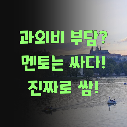 1:1 과외가 비싸다고? 퍼스널멘토는 억수로 싸다니까!..