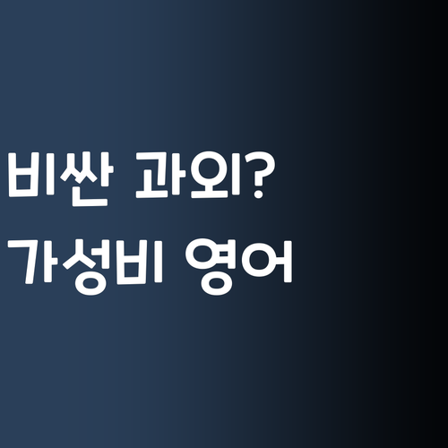 비싼 과외 왜 함? 30대 멘토가 알려주는 초등영어 가성비 솔루션