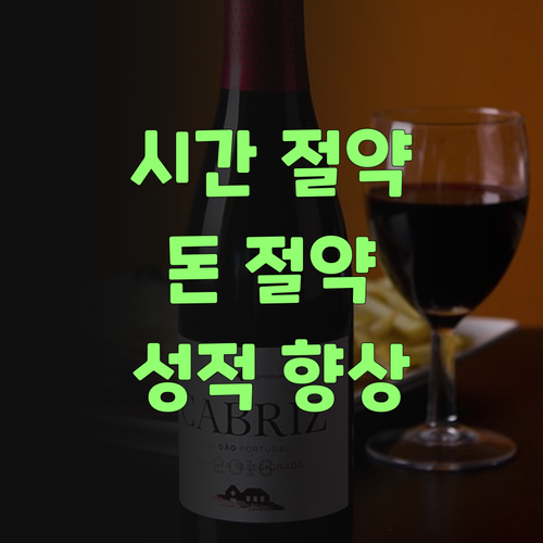 시간, 돈 아끼고 성적 팍 올리는 법? 퍼스널멘토 온라인 과외가 답이여!..
