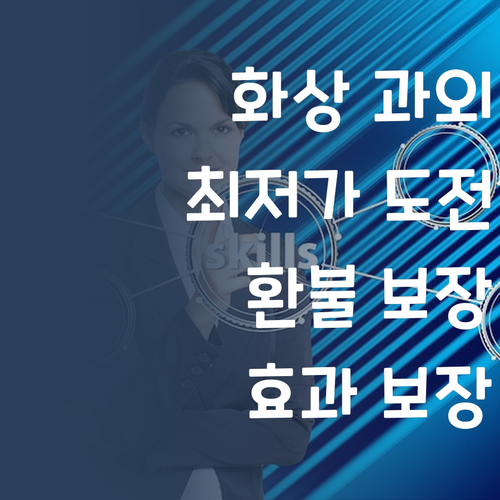 1:1 화상 과외 최저가 도전! 효과 없으면 전액 환불?!