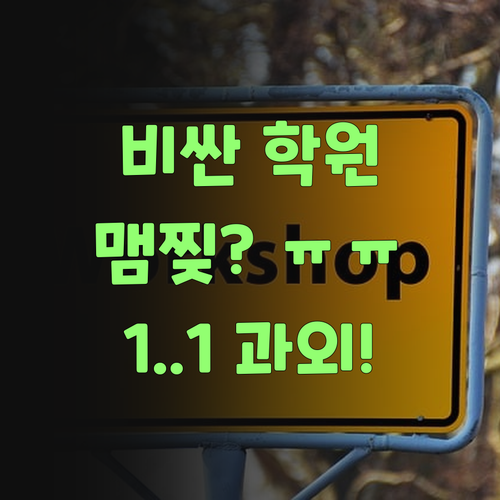 비싼 학원 맴찢? 퍼스널멘토 1:1 과외가 답이여!..