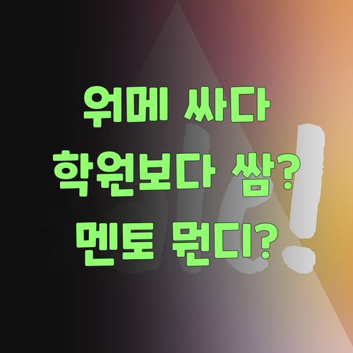 워메, 1:1인데 학원보다 싸? 퍼스널멘토 뭔디 이리 신기하당가..