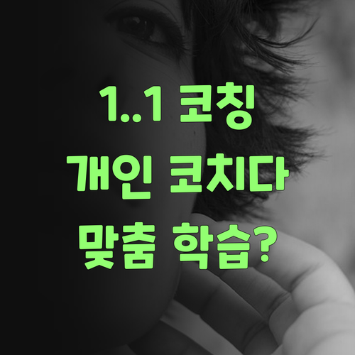 맞춤 학습? 퍼스널멘토 1:1 관리, 진짜 개인 코치구먼..