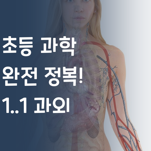 초등 과학 완전 정복! 1:1 과외로 과학 천재 만들기?!