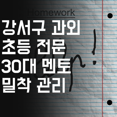 강서구 초등 과외, 30대 멘토의 1:1 밀착 관리! 꼼꼼함에 반할걸요?