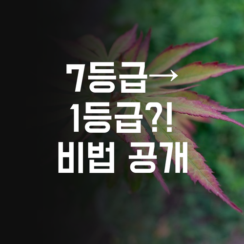 마곡 엠밸리 초등 영어, 7등급에서 1등급 쏜 썰 푼다..😎