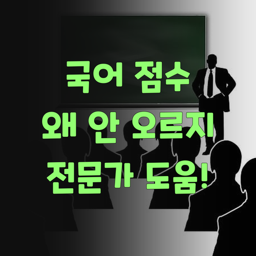 국어 점수, 와 이리 안 오를까? 전문가 도움 받으니 팍팍 오르더라고..