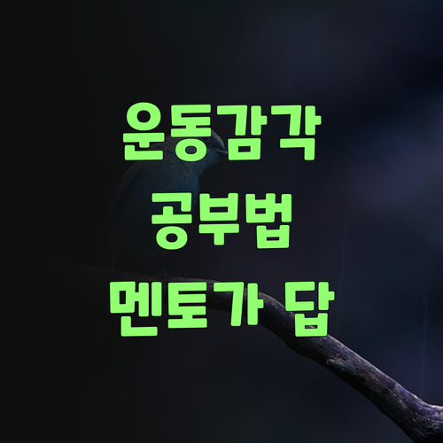 운동감각형 우리 애, 공부 어찌 시켜야 할지 몰랐는디.. 퍼스널멘토가 답이네..