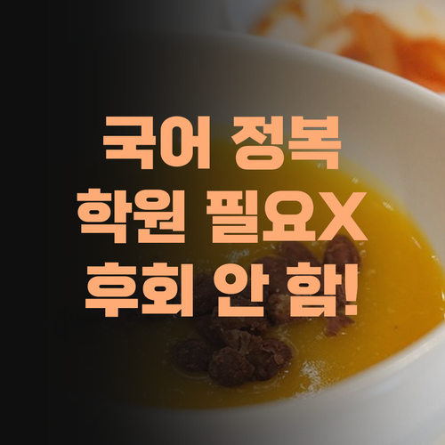 비싼 학원 필요없다! 퍼스널멘토 중등 국어로 국어 완전 정복, 후회 안 할 낍니더!