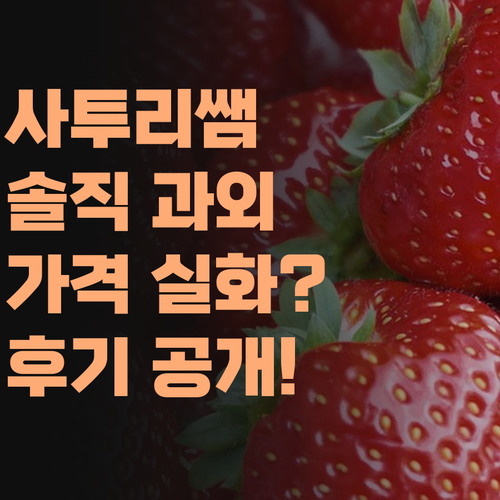 사투리 쌤의 솔직 과외 후기! 퍼스널멘토, 이 가격 실화?!